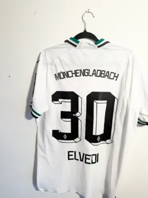 Nico Elvedi