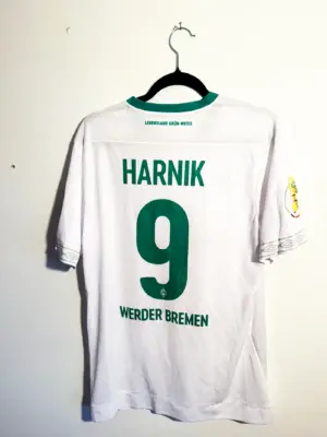 Martin Harnik