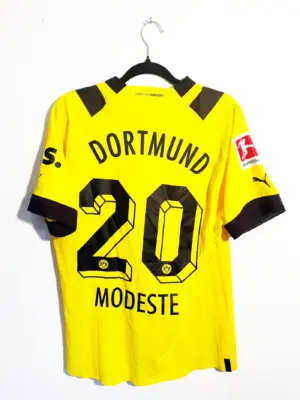 Anthony Modeste